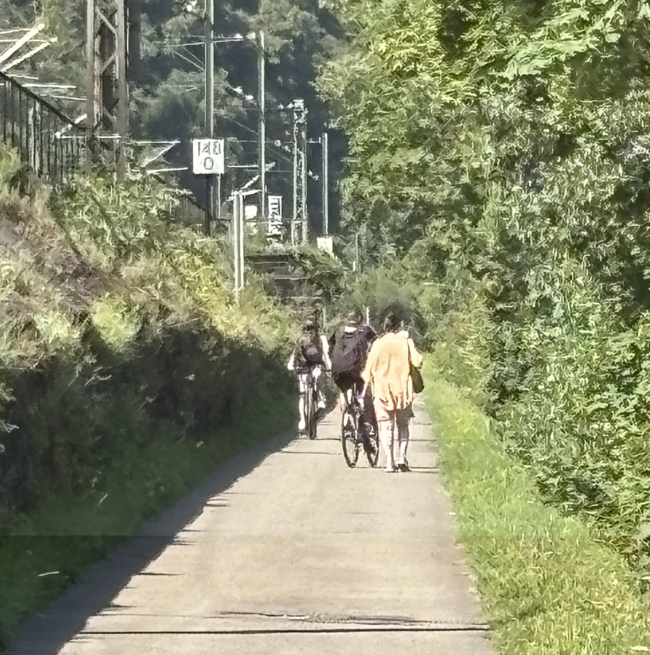 Fuß-Radweg Bingen-Bacharach 2